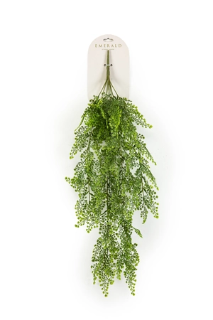 Venushaarvaren hangend l27cm groen