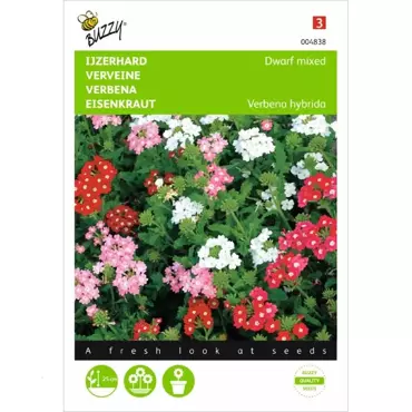Verbena, IJzerhard compact kleurenmengsel - afbeelding 2