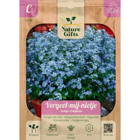 Vergeet-mij-nietje indigo compacta 801st - afbeelding 1