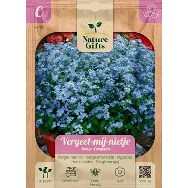 Vergeet-mij-nietje indigo compacta 801st - afbeelding 1