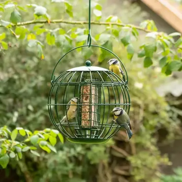 Vogelbescherming London vetblokhouder - afbeelding 2