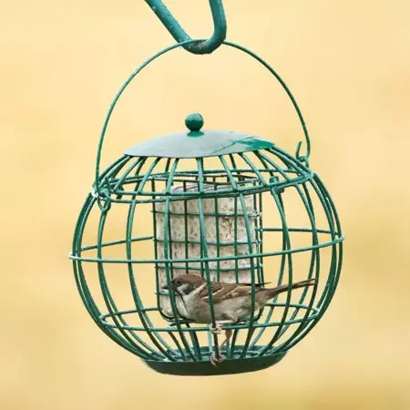 Vogelbescherming London vetblokhouder - afbeelding 3