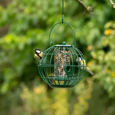 Vogelbescherming London zaadsilo - afbeelding 2