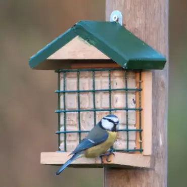 Vogelbescherming Nederland wand voederblokhouder ohio - afbeelding 2