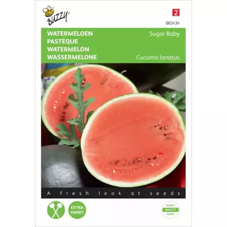 Watermeloen Sugar Baby - afbeelding 1