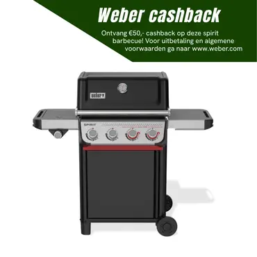 Weber Gasbarbecue spirit e-435