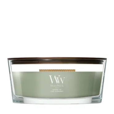WickWick Verdant Fig Ellipse Candle