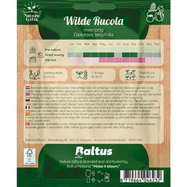 Wilde rucola per 20m - afbeelding 2