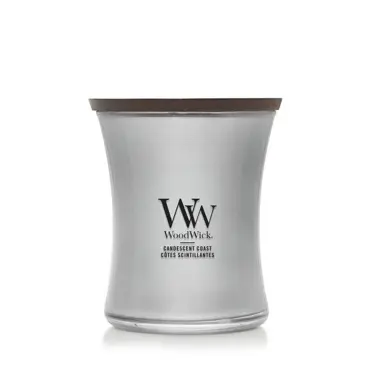 WoodWick Precious Metals Candescent Coast Medium Candle - Silver