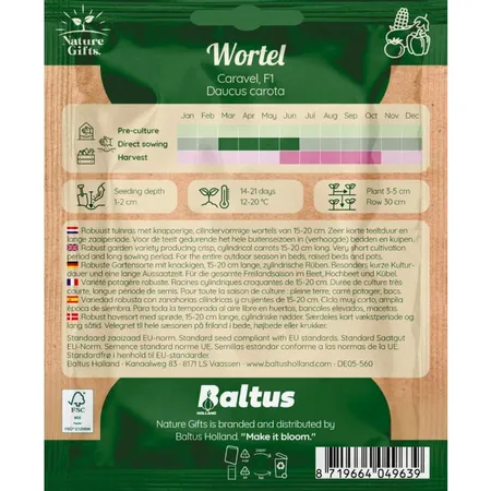 Wortel caravel f1 - afbeelding 2