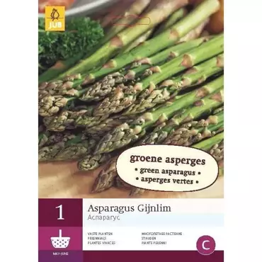 1 Asparagus Gijnlim - afbeelding 1