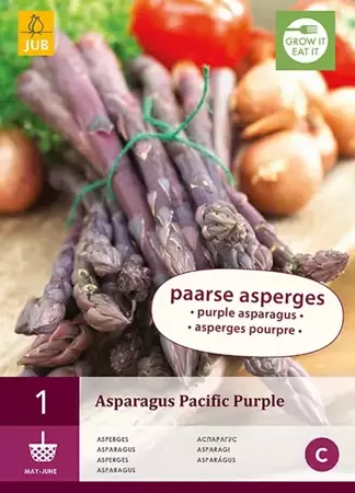 1 Asparagus Pacific Purple - afbeelding 1