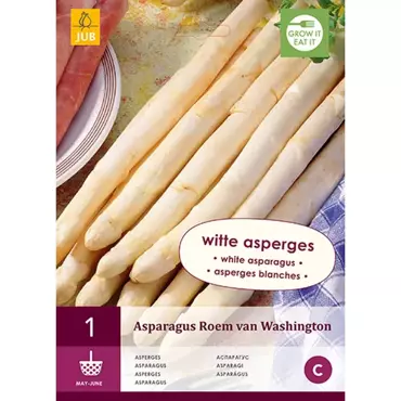 1 Asparagus Roem Van Washington - afbeelding 1