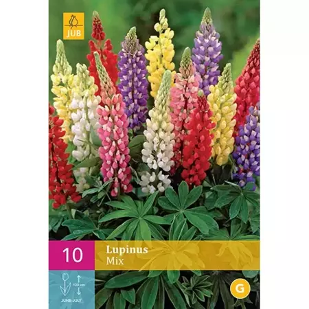 10 Lupinus Mix - afbeelding 1