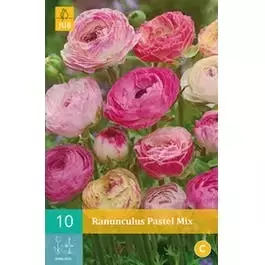 10 Ranunculus Pastel Mix - afbeelding 1