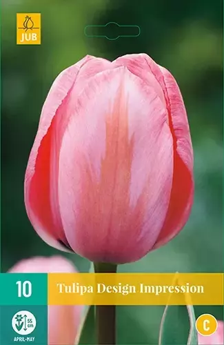 X 10 Tulipa Design Impression