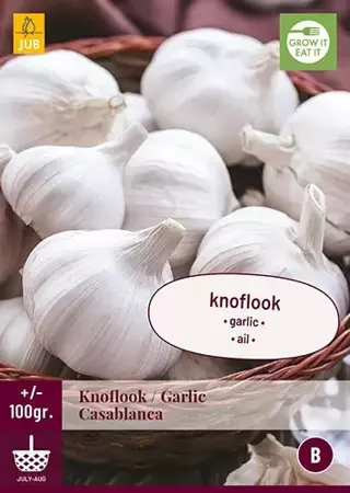 100 Gr. Knoflook Casablanca - afbeelding 1