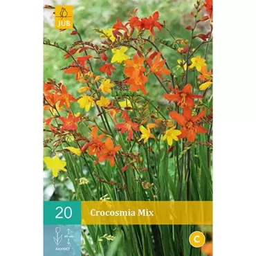 20 Crocosmia Mix - afbeelding 1