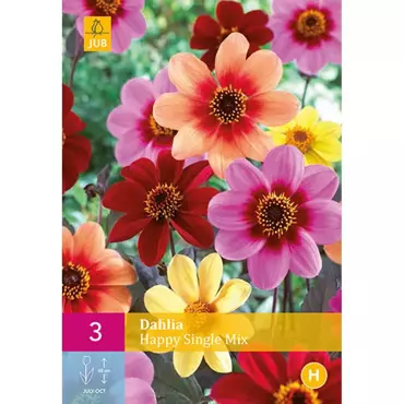 3 Dahlia Happy Single Mix - afbeelding 1