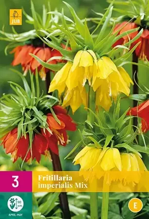 X 3 Fritillaria imperialis mix