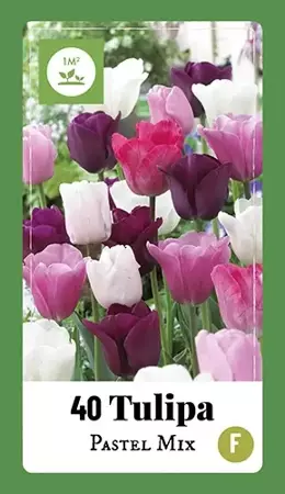 X 40 Tulipa Pastel mix