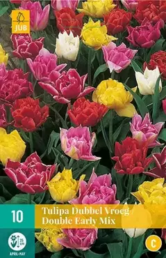 X 7 Tulipa Dubbel Vroeg mix - afbeelding 2