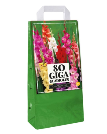 x 80 Gladiolus mix