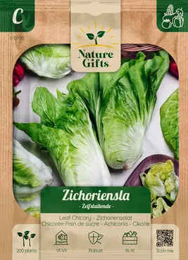 Zichoriensla herfstsla 200st - afbeelding 1