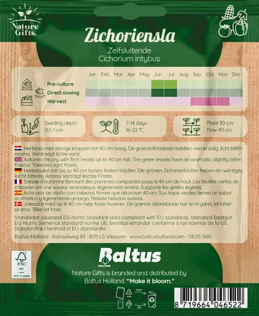 Zichoriensla herfstsla 200st - afbeelding 2