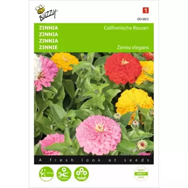 Zinnia Californische Reuzen gemengd - afbeelding 1