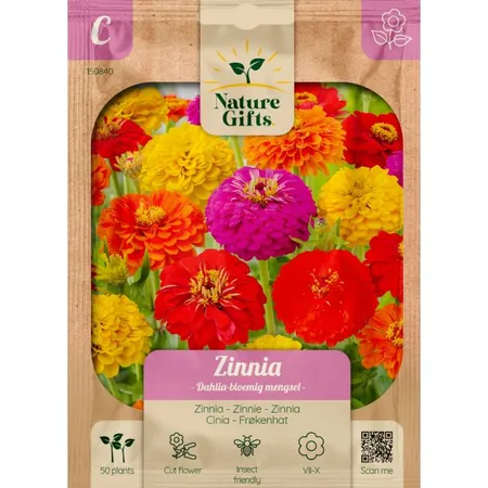 Zinnia dahlia bloemig mengsel 50st - afbeelding 1