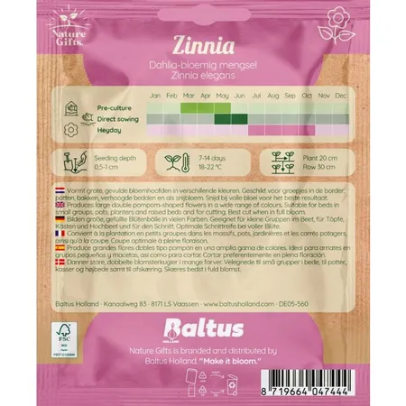 Zinnia dahlia bloemig mengsel 50st - afbeelding 2