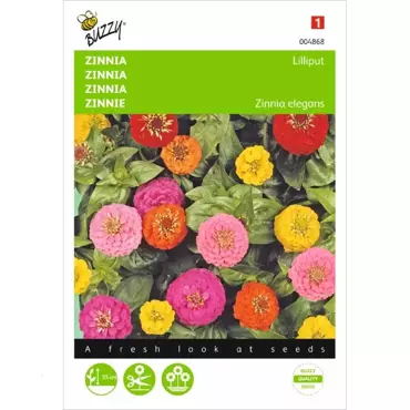 Zinnia Lilliput gemengd - afbeelding 1