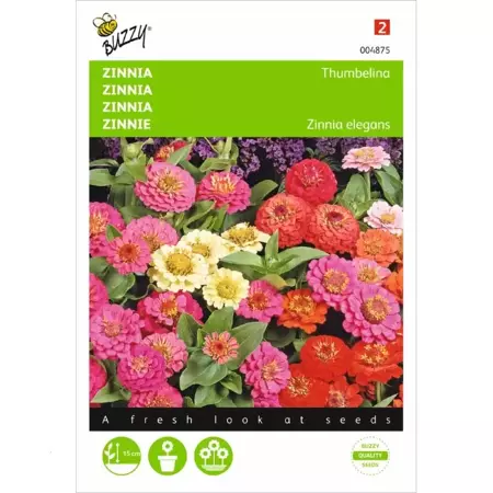 Zinnia Thumbelina gemengd - afbeelding 1