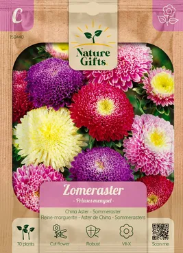 Zomeraster prinses mengsel 70st - afbeelding 1