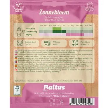 Zonnebloem debilis mengsel 50st - afbeelding 2