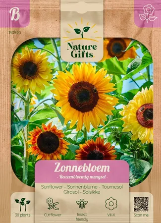 Zonnebloem reuzenbloemig mengsel 30st - afbeelding 1