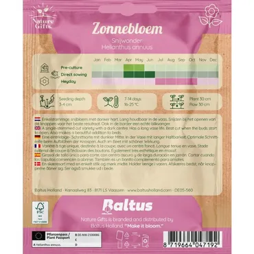 Zonnebloem snijwonder 10st - afbeelding 2